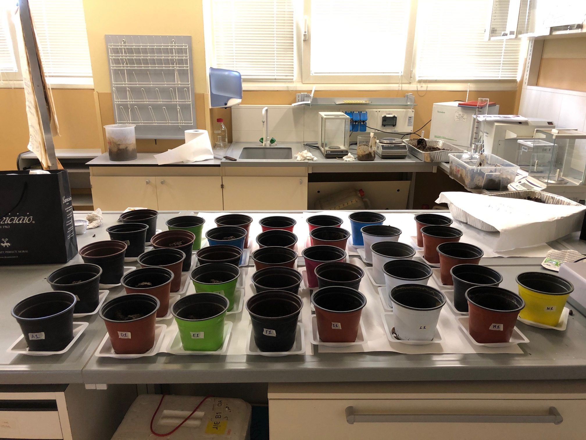 Allestimento di microcosmi sperimentali (CNR-IRSA di Montelibretti)
