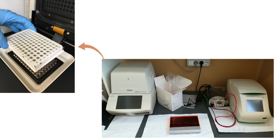 Analisi dei geni della resistenza agli antibiotici mediante qPCR (CNR-IRSA di Montelibretti)