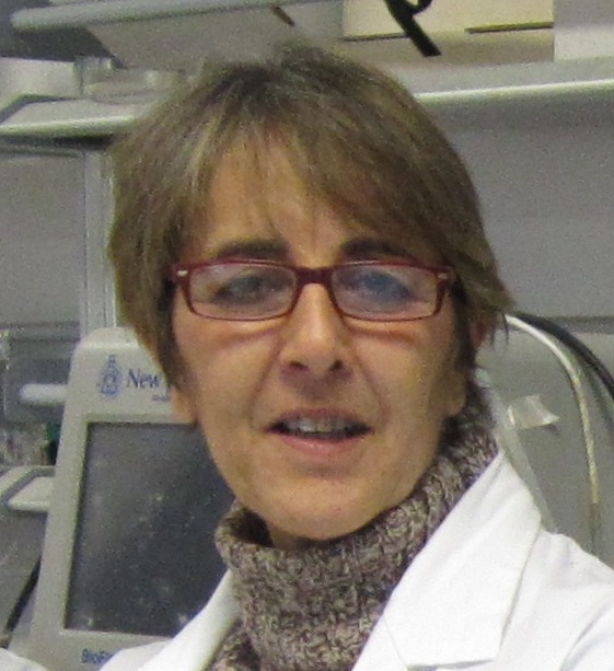 Antonella Signorini
